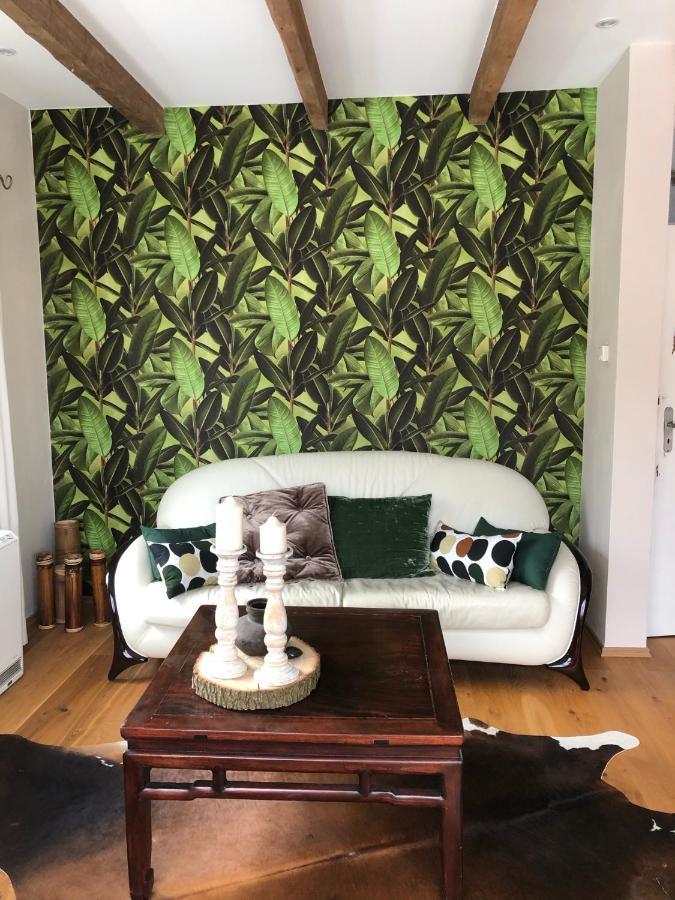 Apartment Sternstube De Luxe Bad Harzburg